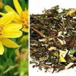 Arnica Silvestre