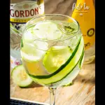 Gin Tonic Pepino