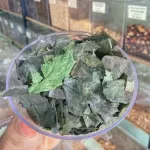 Chá verde