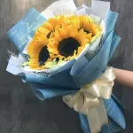 RAMO 060