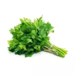 一杂芫荽 Cilantro