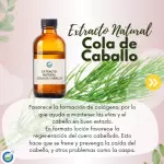 EXTRACTO HG COLA DE CABALLO