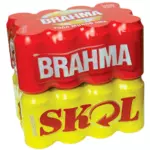 caixa de skol ou brahma