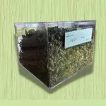 MELISSA (50G)