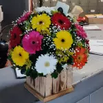 CAJA. 038
