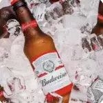 Cerveja Budweiser (longneck)