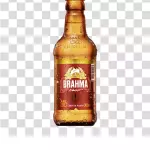 BRAHMA / SKOL 600 ML
