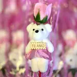 Rosa com urso 🩷