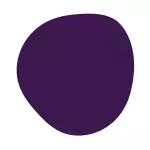 PURPURA/PURPLE