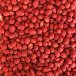 Cacahuate Hot Nuts 100 gr.