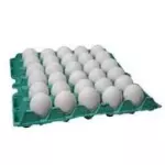 OVOS JUMBO BRANCO