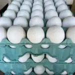 Ovos extra branco