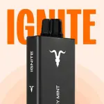 V55 ULTRA BLACK | 5.500 PUFF 💨