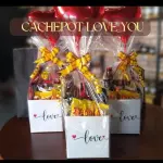 Cachepot love you