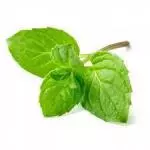 Hoja de Menta 100 grs