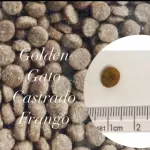 GOLDEN CASTRADOS FRANGO 1KG