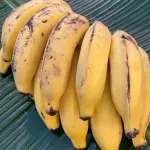 Banana prata madura - Néia