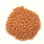 Lentilha rosa (Síria)