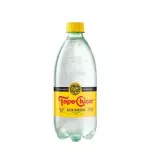 Agua Mineral Topochico 600ml