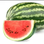 Sandia Baby  x 1 und