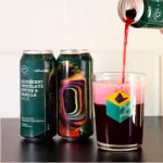 Cerveza Artesanal Sour