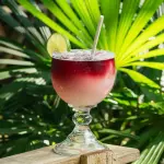 LIMONADA CLARETE