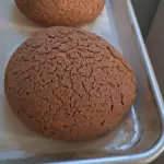 Concha
