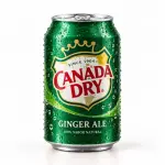 Canada Dry Ginger Ale 350 ml