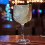 Gin de Especias