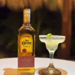 Tejuino / Margarita