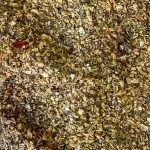 CHIMICHURRI S/PIMENTA