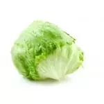 Lechuga Batavia