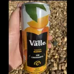 Suco Del Valle Sabores