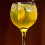 Gin Tropical - Importado
