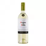 casillero del diablo sauvignon blan