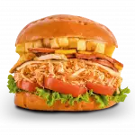 Pollo Especial