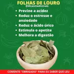 134 Folha de Louro 100g