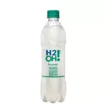 H2OH 500ml