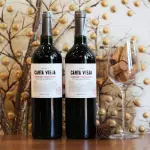 Vinho Tinto seco Carta Vieja (Chile)