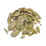 Boldo  chile 100g