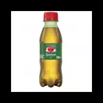 Guaraná Antartica