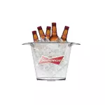 Budweiser Long Neck