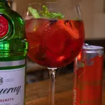 Gin melancia