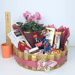 C003 Cesta Encanto Premium