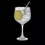 GIN TÔNICA