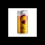 SKOL LATA 269ML