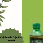 Cajuína pet