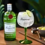 GINEBRA TANQUERAY