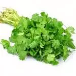 Cilantro 250 grs
