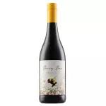 Busy Bee Pinotage 2021
